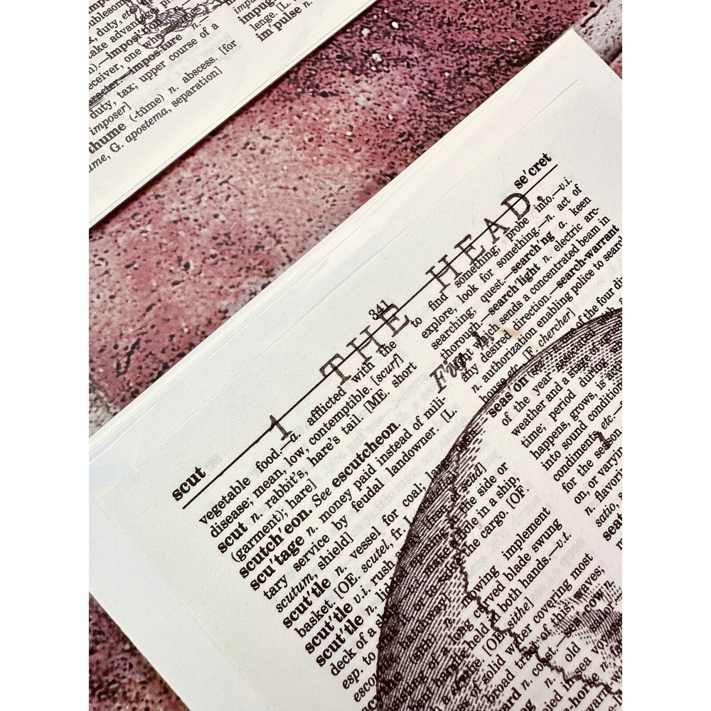 Skeleton Skull Spooky Upcycled Dictionary Art Prints Lot 4 Mini Poster Set‎ OOAK - Picture 11 of 14